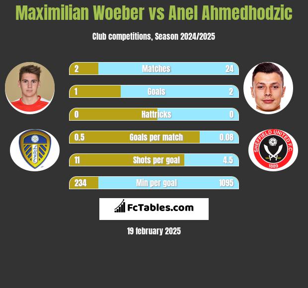 Maximilian Woeber vs Anel Ahmedhodzic h2h player stats