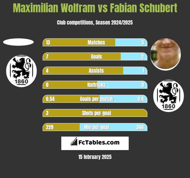 Maximilian Wolfram vs Fabian Schubert h2h player stats