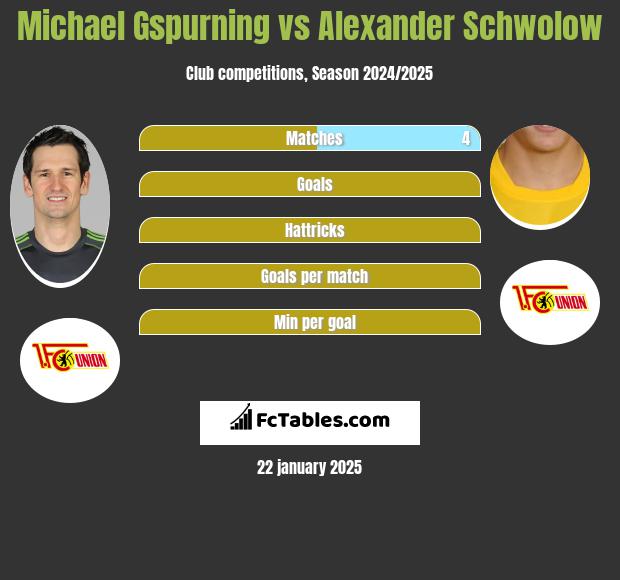 Michael Gspurning vs Alexander Schwolow h2h player stats