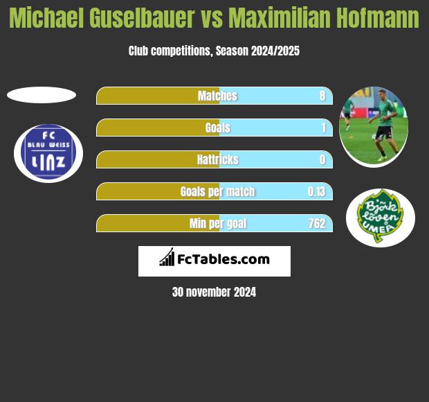 Michael Guselbauer vs Maximilian Hofmann h2h player stats