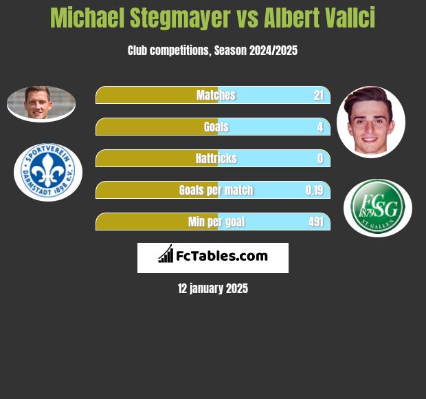 Michael Stegmayer vs Albert Vallci h2h player stats