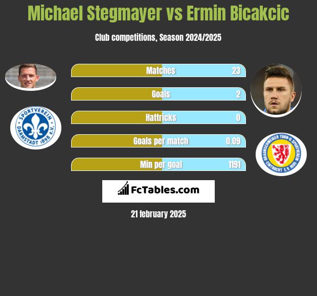 Michael Stegmayer vs Ermin Bicakcić h2h player stats