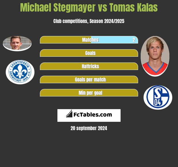 Michael Stegmayer vs Tomas Kalas h2h player stats