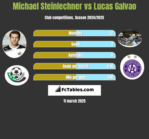 Michael Steinlechner vs Lucas Galvao h2h player stats