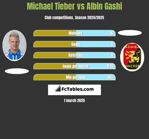 Michael Tieber vs Albin Gashi h2h player stats