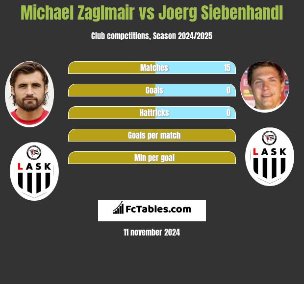 Michael Zaglmair vs Joerg Siebenhandl h2h player stats