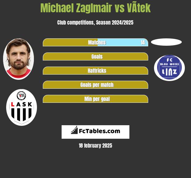 Michael Zaglmair vs VÃ­tek h2h player stats