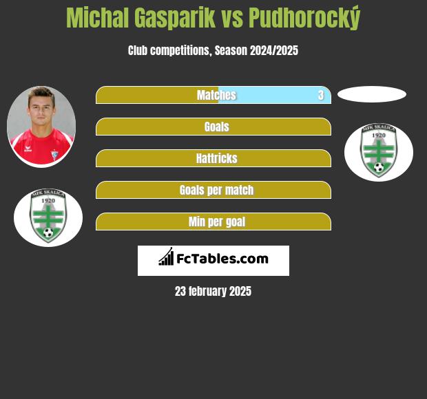 Michal Gasparik vs Pudhorocký h2h player stats