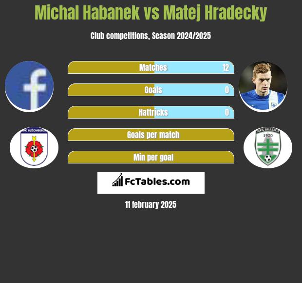 Michal Habanek vs Matej Hradecky h2h player stats