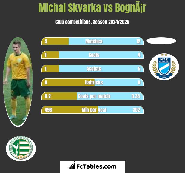 Michal Skvarka vs BognÃ¡r h2h player stats