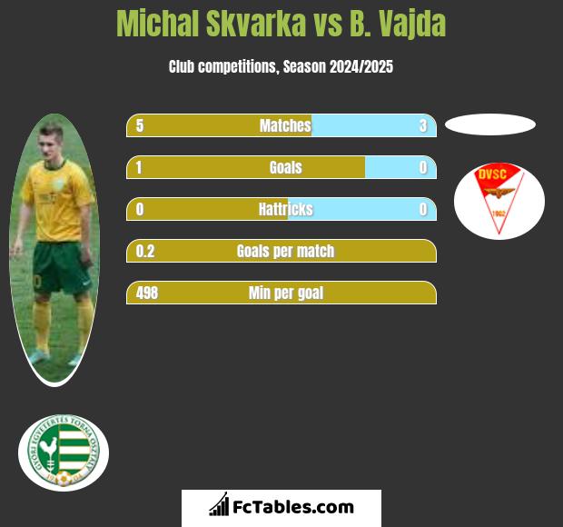 Michal Skvarka vs B. Vajda h2h player stats