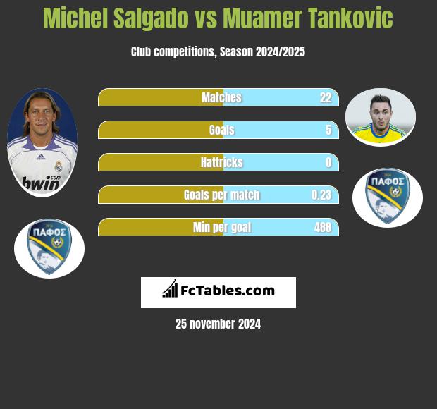 Michel Salgado vs Muamer Tankovic h2h player stats