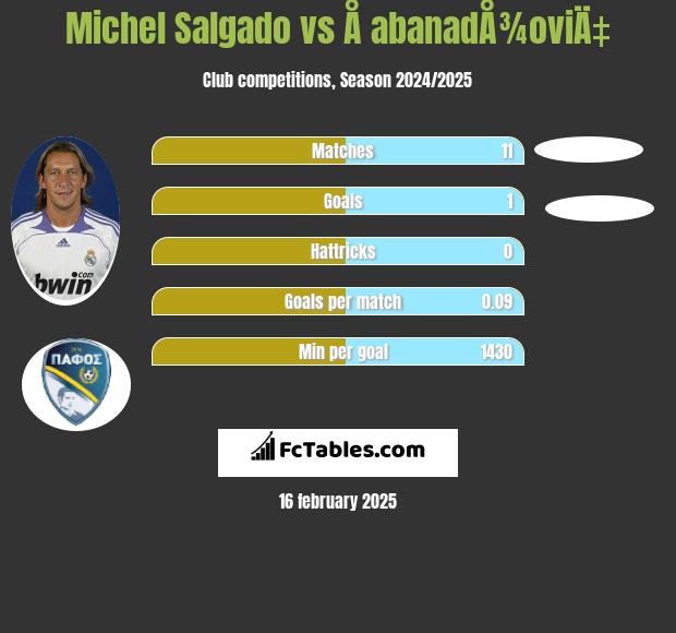 Michel Salgado vs Å abanadÅ¾oviÄ‡ h2h player stats