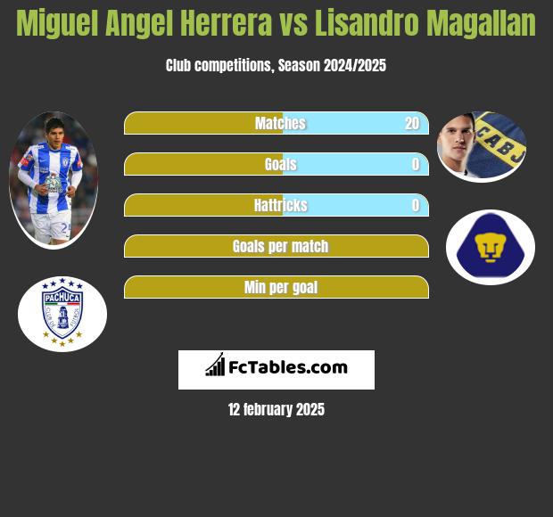 Miguel Angel Herrera vs Lisandro Magallan h2h player stats