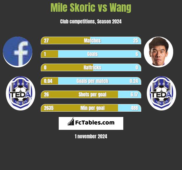 Mile Skoric vs Wang h2h player stats