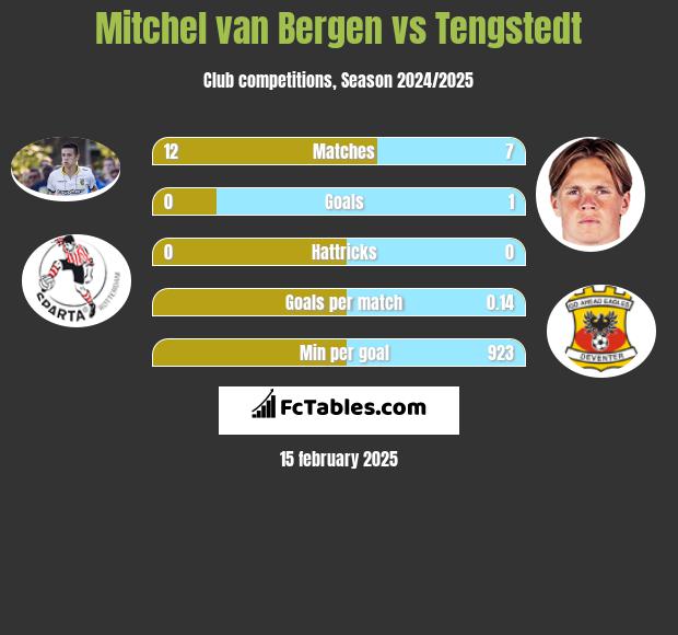 Mitchel van Bergen vs Tengstedt h2h player stats