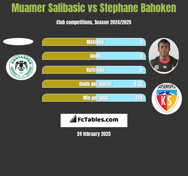 Muamer Salibasic vs Stephane Bahoken h2h player stats