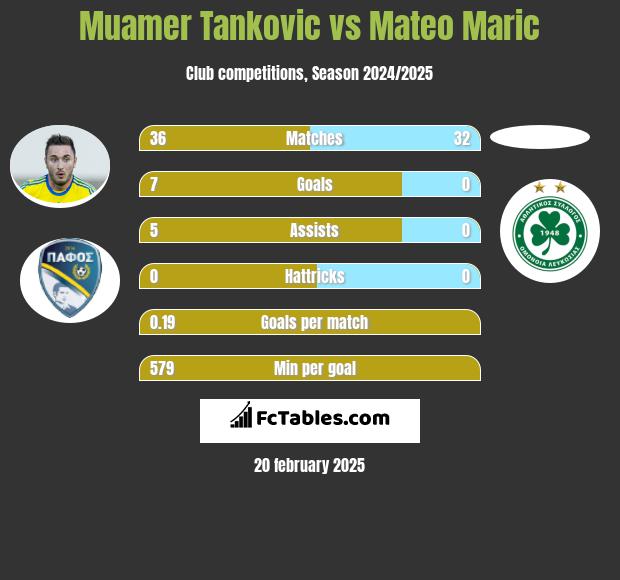 Muamer Tankovic vs Mateo Maric h2h player stats