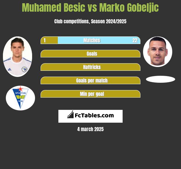 Muhamed Besic vs Marko Gobeljic h2h player stats