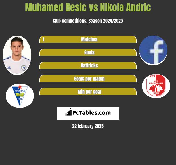 Muhamed Besic vs Nikola Andric h2h player stats