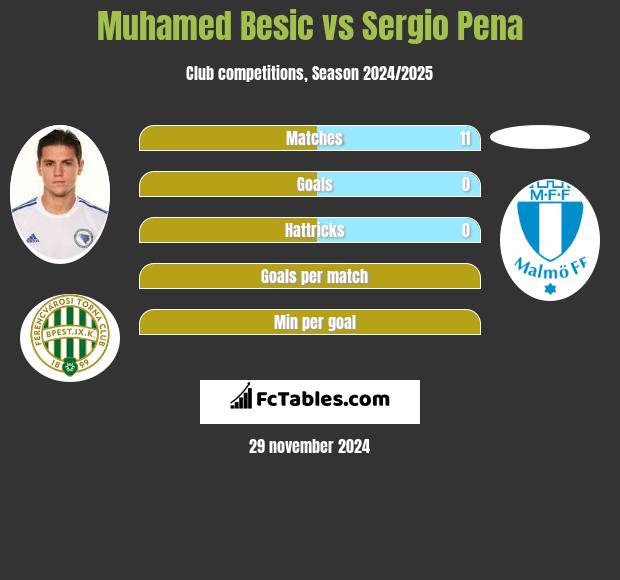 Muhamed Besic vs Sergio Pena h2h player stats