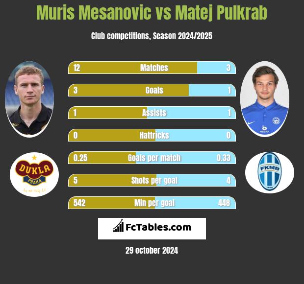 Muris Mesanovic vs Matej Pulkrab h2h player stats