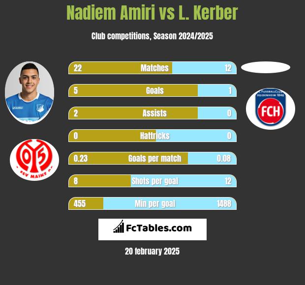 Nadiem Amiri vs L. Kerber h2h player stats