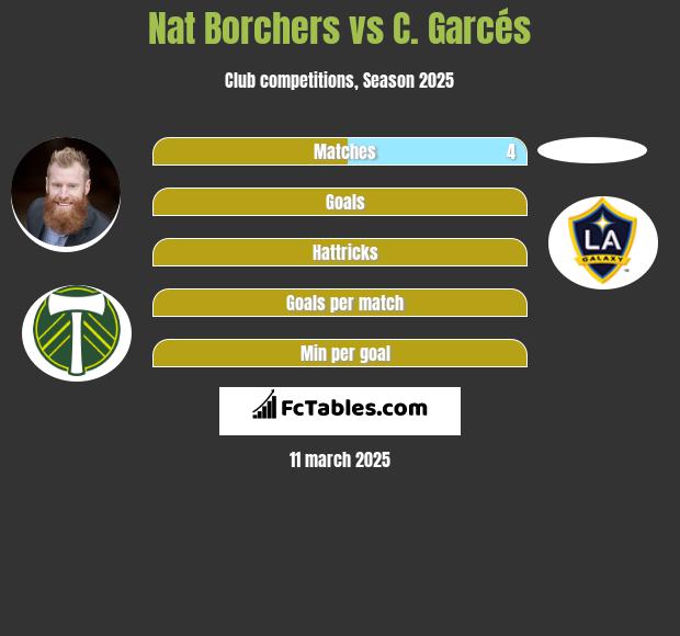 Nat Borchers vs C. Garcés h2h player stats