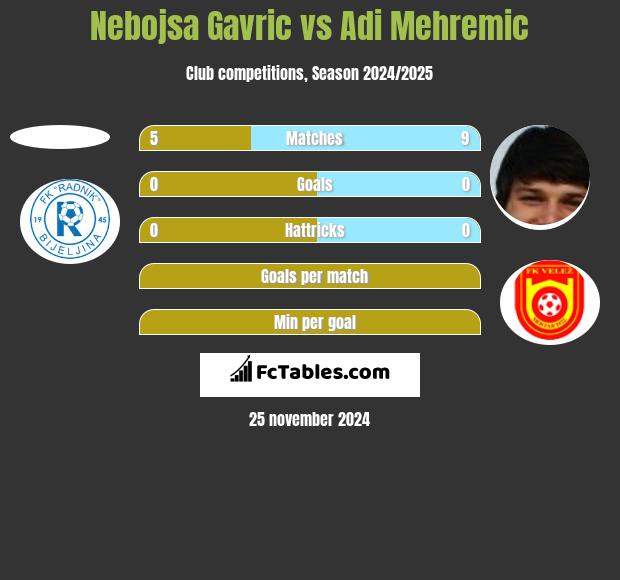 Nebojsa Gavric vs Adi Mehremic h2h player stats