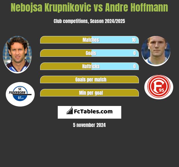 Nebojsa Krupnikovic vs Andre Hoffmann h2h player stats