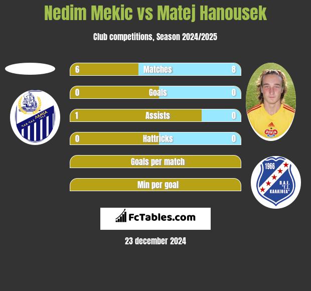 Nedim Mekic vs Matej Hanousek h2h player stats