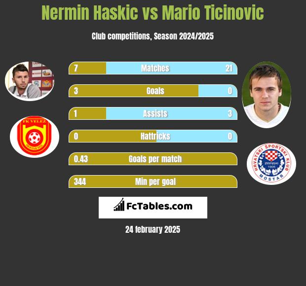 Nermin Haskic vs Mario Ticinovic h2h player stats