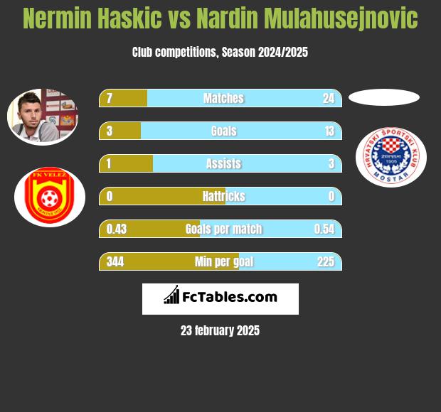 Nermin Haskic vs Nardin Mulahusejnovic h2h player stats