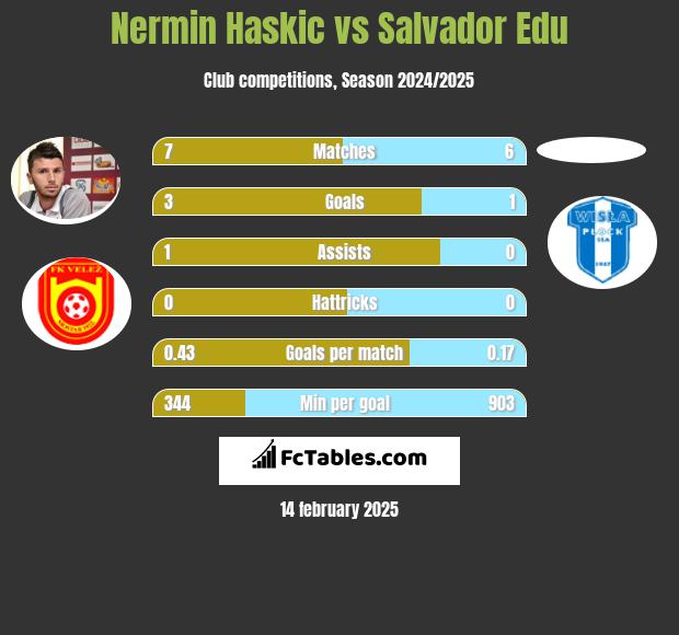 Nermin Haskic vs Salvador Edu h2h player stats