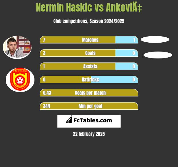 Nermin Haskic vs AnkoviÄ‡ h2h player stats