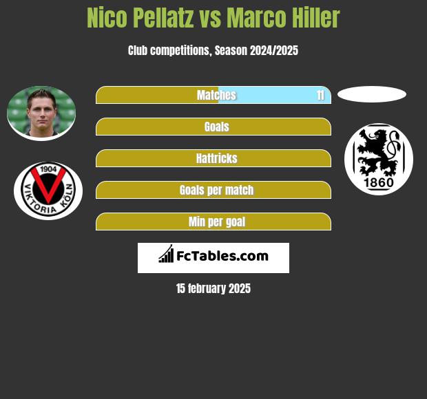 Nico Pellatz vs Marco Hiller h2h player stats