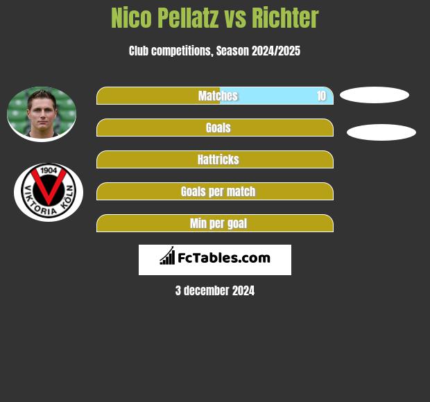 Nico Pellatz vs Richter h2h player stats