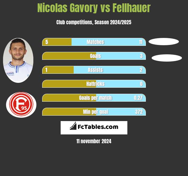 Nicolas Gavory vs Fellhauer h2h player stats