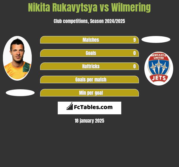 Nikita Rukavytsya vs Wilmering h2h player stats