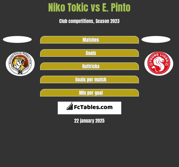 Niko Tokic vs E. Pinto h2h player stats