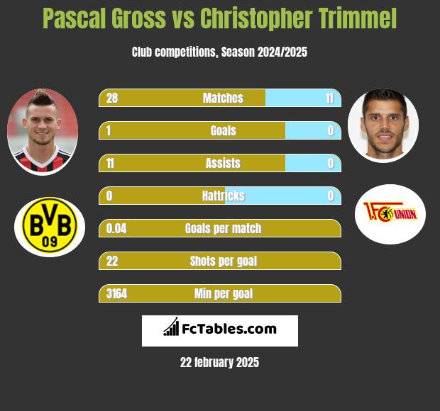 Pascal Gross vs Christopher Trimmel h2h player stats