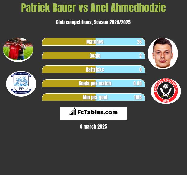 Patrick Bauer vs Anel Ahmedhodzic h2h player stats