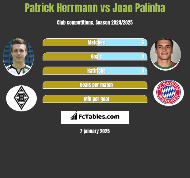 Patrick Herrmann vs Joao Palinha h2h player stats