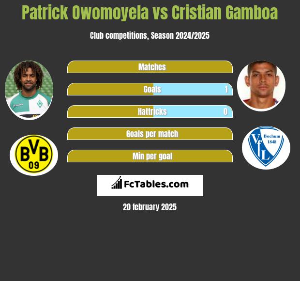 Patrick Owomoyela vs Cristian Gamboa h2h player stats