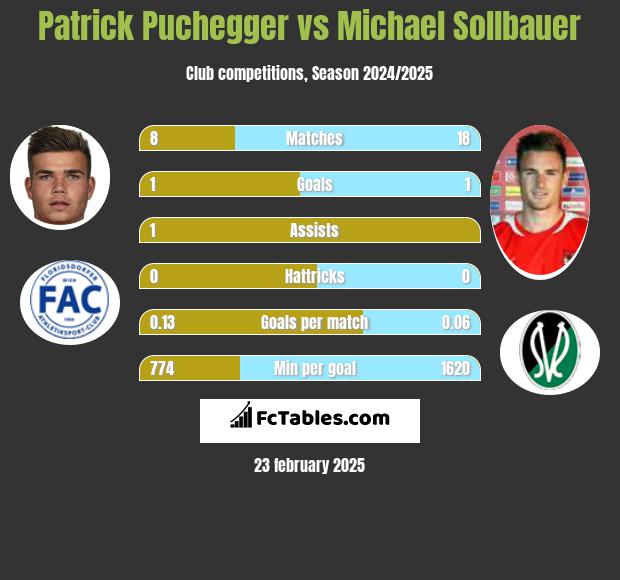 Patrick Puchegger vs Michael Sollbauer h2h player stats