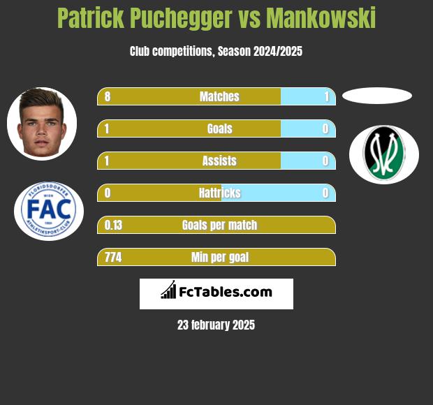 Patrick Puchegger vs Mankowski h2h player stats