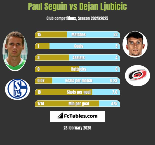 Paul Seguin vs Dejan Ljubicic h2h player stats