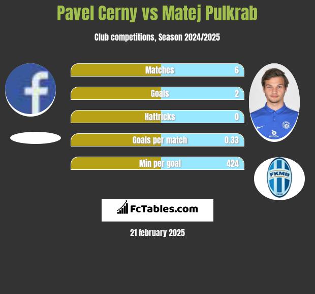 Pavel Cerny vs Matej Pulkrab h2h player stats