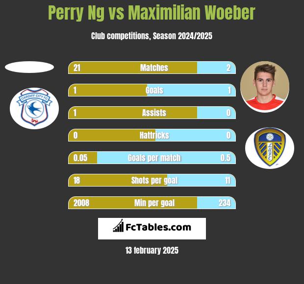 Perry Ng vs Maximilian Woeber h2h player stats