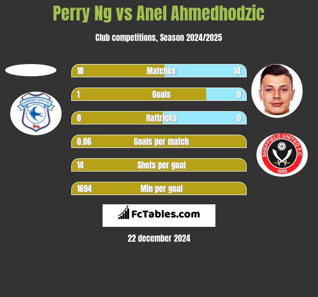 Perry Ng vs Anel Ahmedhodzic h2h player stats